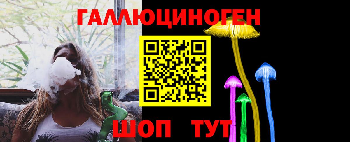 Галлюциногенные грибы Psilocybe Орёл